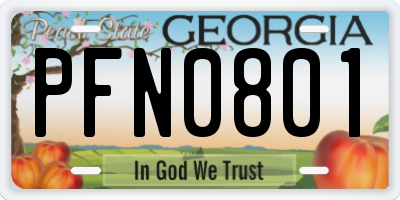 GA license plate PFN0801