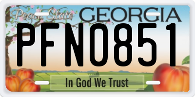 GA license plate PFN0851