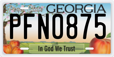 GA license plate PFN0875