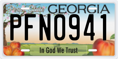 GA license plate PFN0941