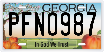 GA license plate PFN0987