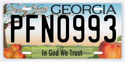 GA license plate PFN0993