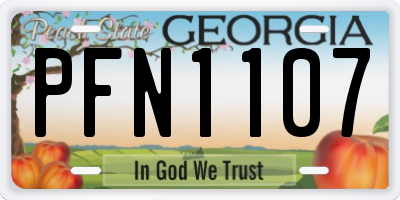 GA license plate PFN1107
