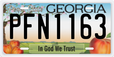 GA license plate PFN1163