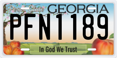 GA license plate PFN1189