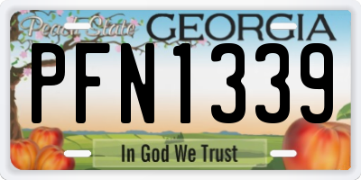 GA license plate PFN1339
