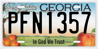 GA license plate PFN1357