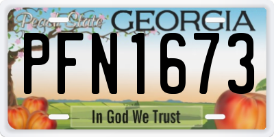 GA license plate PFN1673