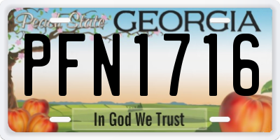GA license plate PFN1716