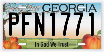GA license plate PFN1771