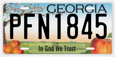 GA license plate PFN1845