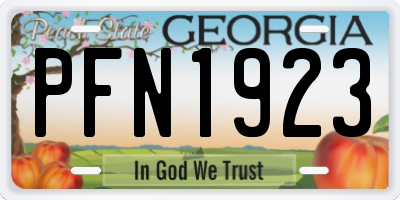 GA license plate PFN1923