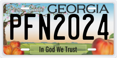 GA license plate PFN2024