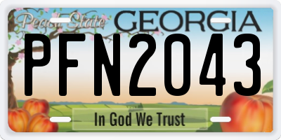 GA license plate PFN2043