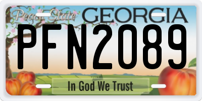 GA license plate PFN2089