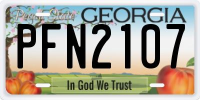 GA license plate PFN2107