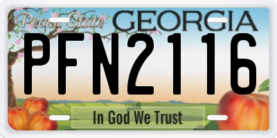 GA license plate PFN2116