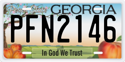 GA license plate PFN2146