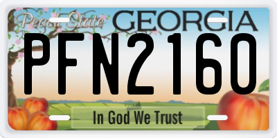 GA license plate PFN2160