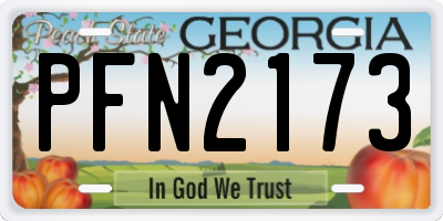 GA license plate PFN2173