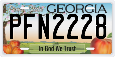 GA license plate PFN2228