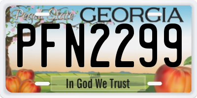 GA license plate PFN2299