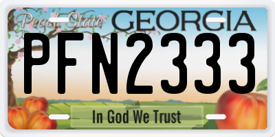 GA license plate PFN2333