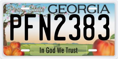 GA license plate PFN2383