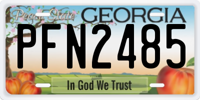 GA license plate PFN2485