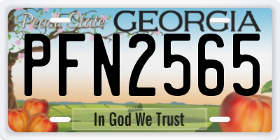 GA license plate PFN2565