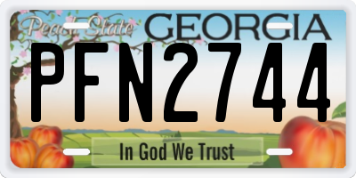 GA license plate PFN2744