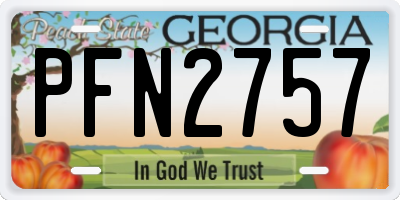 GA license plate PFN2757