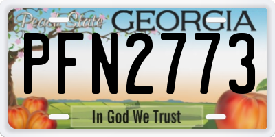 GA license plate PFN2773