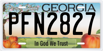 GA license plate PFN2827
