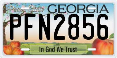 GA license plate PFN2856
