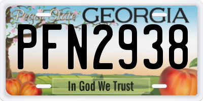 GA license plate PFN2938