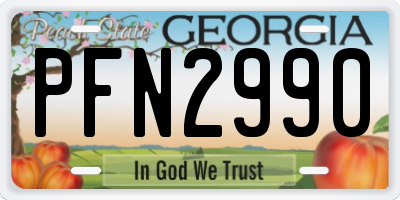 GA license plate PFN2990