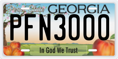 GA license plate PFN3000