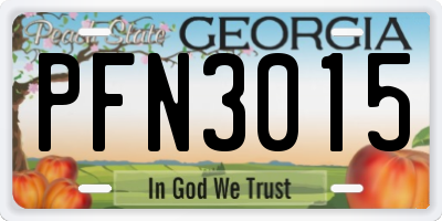 GA license plate PFN3015