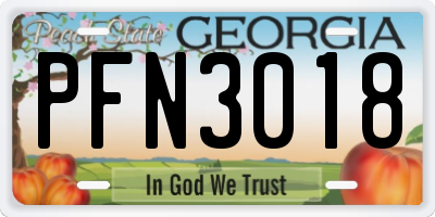 GA license plate PFN3018