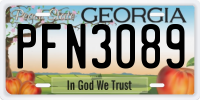 GA license plate PFN3089
