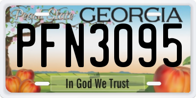 GA license plate PFN3095
