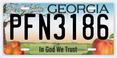 GA license plate PFN3186