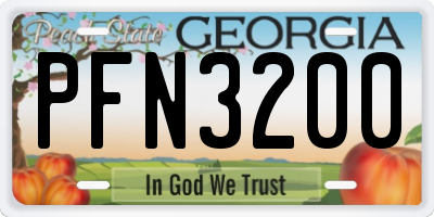 GA license plate PFN3200
