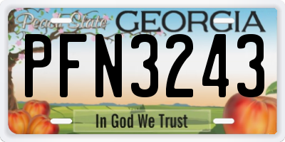 GA license plate PFN3243