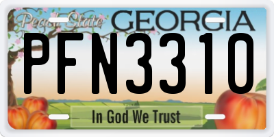 GA license plate PFN3310