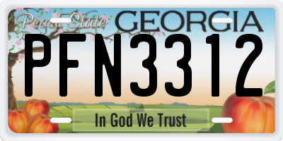 GA license plate PFN3312