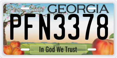GA license plate PFN3378