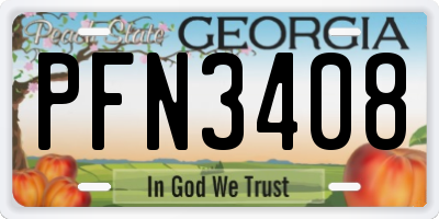 GA license plate PFN3408