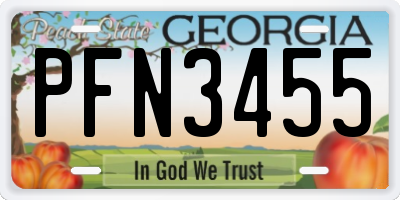 GA license plate PFN3455